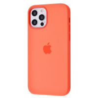 Чехол для Apple iPhone 12 / 12 Pro  Silicone Case with MagSafe and Splash Screen Pink Citrus