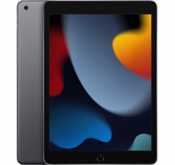 Планшет Apple iPad 10.2 2021  Wi-Fi 256Gb Space Gray (MK2N3)