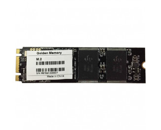 SSD накопитель 256Gb Golden Memory (GMM2256)