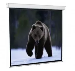 Проекционный экран Redleaf SGM-4302 (171x128)