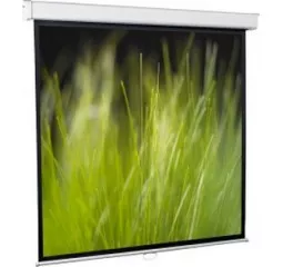 Проекционный экран Redleaf SGM-4304 (244x183)