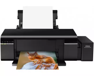 Принтер струйный Epson L805 (C11CE86403)