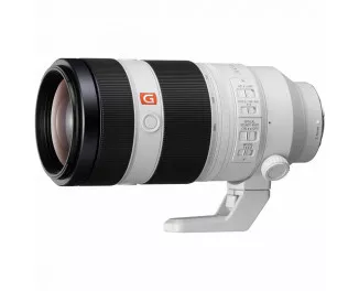 Об'єктив Sony G Master 100-400mm F4.5-5.6 GM OSS (SEL100400GM)