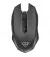 Мышь беспроводная Trust GXT 115 Macci Wireless Gaming Mouse (22417)