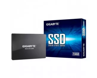 SSD накопичувач 256Gb Gigabyte (GP-GSTFS31256GTND)