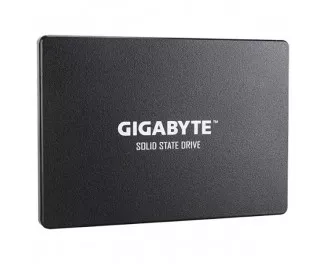SSD накопитель 1 TB Gigabyte (GP-GSTFS31100TNTD)