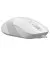 Миша A4Tech FM10 White USB