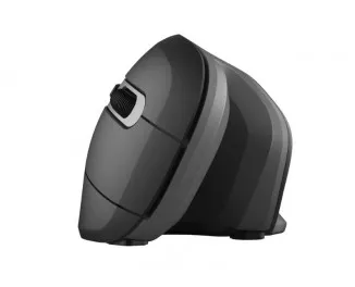 Мышь беспроводная Trust Verro Ergonomic Wireless Mouse (23507)