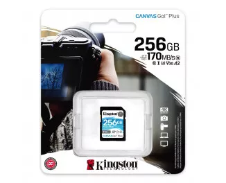 Карта памяти SD 256Gb Kingston Canvas Go Plus C10 UHS-I U3 (SDG3/256GB)