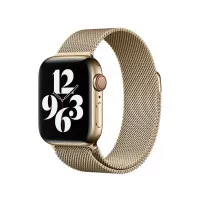 Металевий ремінець для Apple Watch 42/44/45 mm Apple Milanese Loop Gold (MTU72)