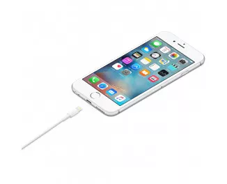 Кабель Apple Lightning > USB для зарядки 1.0m (A1480 / MXLY2)