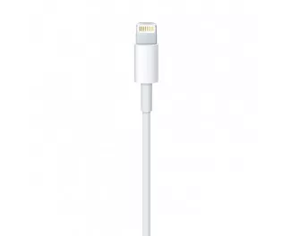 Кабель Apple Lightning > USB для зарядки 1.0m (A1480 / MXLY2)