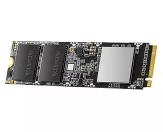 SSD накопитель 256Gb ADATA SX8100 (ASX8100NP-256GT-C)