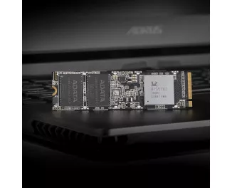 SSD накопитель 256Gb ADATA SX8100 (ASX8100NP-256GT-C)