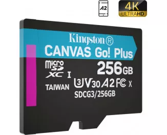 Карта памяти microSD 256Gb Kingston Canvas Go Plus Сlass 10 A2 U3 V30 (SDCG3/256GBSP)