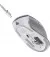 Мышь беспроводная Razer Pro Click (RZ01-02990100-R3M1)