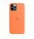 Чехол для Apple iPhone 12 Pro Max  Apple Silicone Case with MagSafe Kumquat (MHL83)