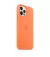 Чехол для Apple iPhone 12 Pro Max  Silicone Case with MagSafe Kumquat