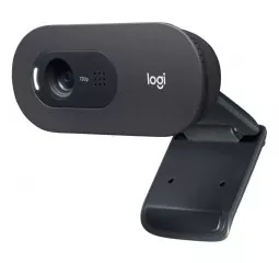 Web камера Logitech C505e (960-001372)