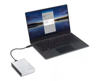 Зовнішній жорсткий диск 4 TB Seagate One Touch Silver (STKC4000401)