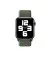 Нейлоновий ремінець для Apple Watch 38/40/41 mm Apple Sport Loop Inverness Green (MYA12)
