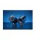 Акустическая система Razer Nommo V2 X Black (RZ05-04760100-R3G1)