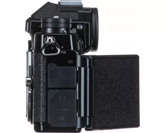 Беззеркальный фотоаппарат Nikon Zf body (VOA120AE)