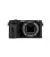 Бездзеркальний фотоапарат Sony Alpha A6600 body