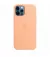 Чехол для Apple iPhone 12 / 12 Pro  Apple Silicone Case with MagSafe Cantaloupe (MK023)