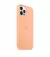 Чехол для Apple iPhone 12 Pro Max  Apple Silicone Case with MagSafe Cantaloupe (MK073)
