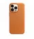 Чохол для Apple iPhone 13 Pro Apple Leather Case with MagSafe Golden Brown (MM193)