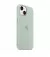 Чехол для Apple iPhone 14 Plus  Apple Silicone Case with MagSafe Succulent (MPTC3)