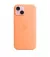 Чехол для Apple iPhone 15  Apple Silicone Case with MagSafe Orange Sorbet (MT0W3)