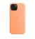 Чехол для Apple iPhone 15  Apple Silicone Case with MagSafe Orange Sorbet (MT0W3)