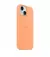 Чехол для Apple iPhone 15  Apple Silicone Case with MagSafe Orange Sorbet (MT0W3)