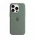 Чехол для Apple iPhone 15 Pro  Apple Silicone Case with MagSafe Cypress (MT1J3)