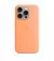 Чехол для Apple iPhone 15 Pro  Apple Silicone Case with MagSafe Orange Sorbet (MT1H3)