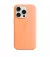 Чехол для Apple iPhone 15 Pro  Apple Silicone Case with MagSafe Orange Sorbet (MT1H3)