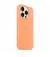 Чехол для Apple iPhone 15 Pro  Apple Silicone Case with MagSafe Orange Sorbet (MT1H3)
