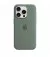 Чехол для Apple iPhone 15 Pro Max  Apple Silicone Case with MagSafe Cypress (MT1X3)