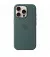 Чохол для Apple iPhone 16 Pro  Apple Silicone Case with MagSafe Lake Green (MYYR3)