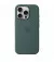 Чохол для Apple iPhone 16 Pro  Apple Silicone Case with MagSafe Lake Green (MYYR3)