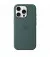 Чохол для Apple iPhone 16 Pro  Apple Silicone Case with MagSafe Lake Green (MYYR3)