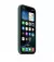 Чохол для Apple iPhone 16 Pro  Apple Silicone Case with MagSafe Lake Green (MYYR3)