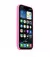 Чехол для Apple iPhone 16 Pro  Apple Silicone Case with MagSafe Peony (MDFX4)