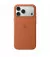 Чехол для Apple iPhone 17 Pro Max  Apple Silicone Case with MagSafe - Terra Cotta (MGFQ4)