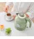 Электрочайник Xiaomi OCOOKER Electric Kettle Green (CS-SH01) Green