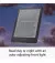 Электронная книга Amazon Kindle Paperwhite Signature Edition 12th Gen. 32GB (2024) Metallic Jade