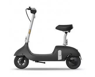 Електросамокат OKAI Ceetle Pro EA10C Black (EA10C-B)