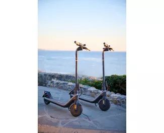 Электросамокат Segway-Ninebot E2 E (AA.00.0013.13) Black